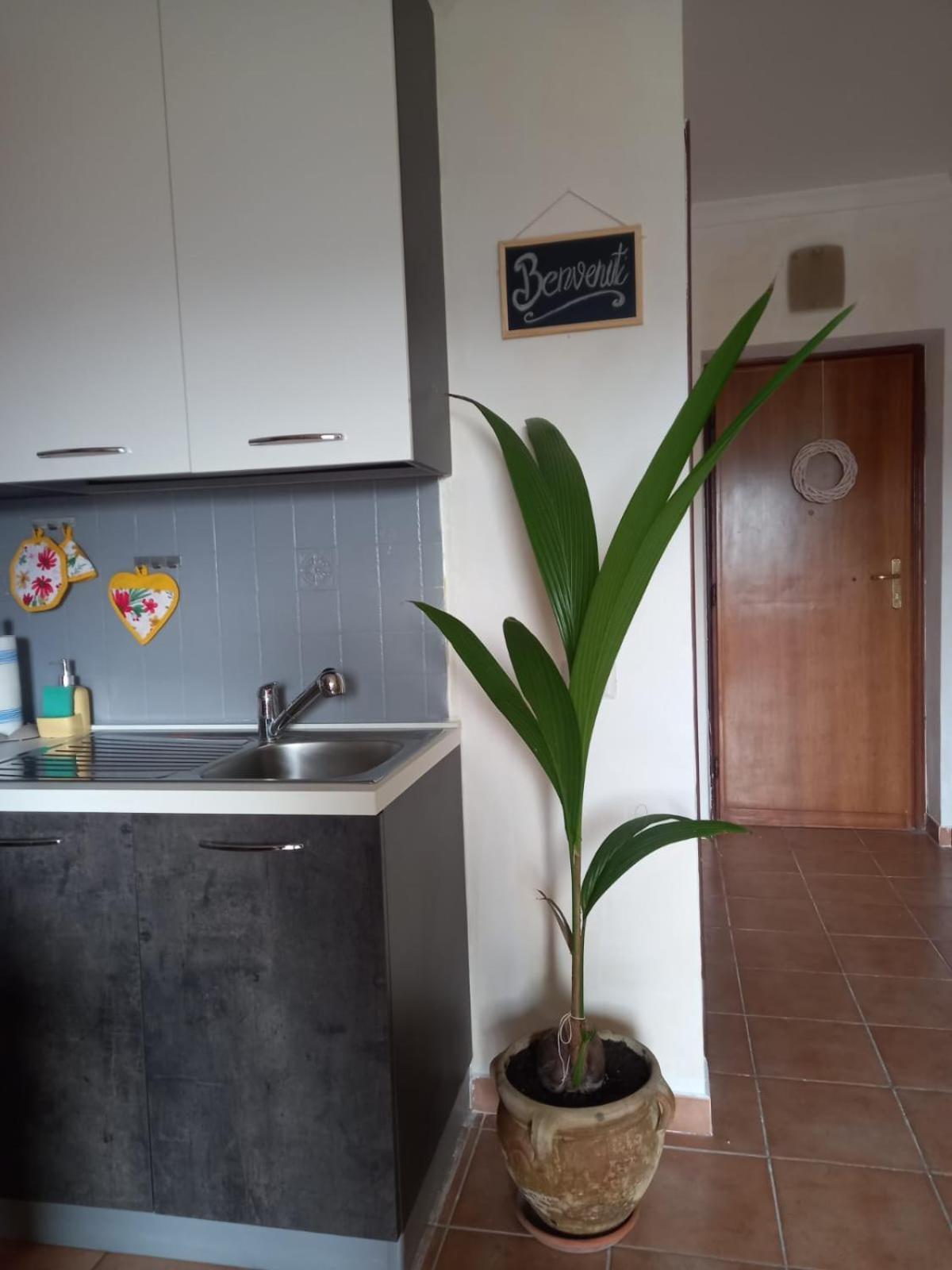 Antica Fonte Apartment Montefranco Luaran gambar